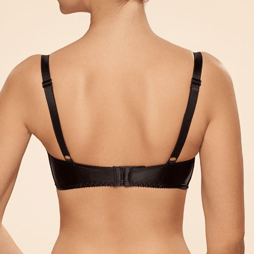 Ajour Elegy Sheer Mesh Balcony Bra-1